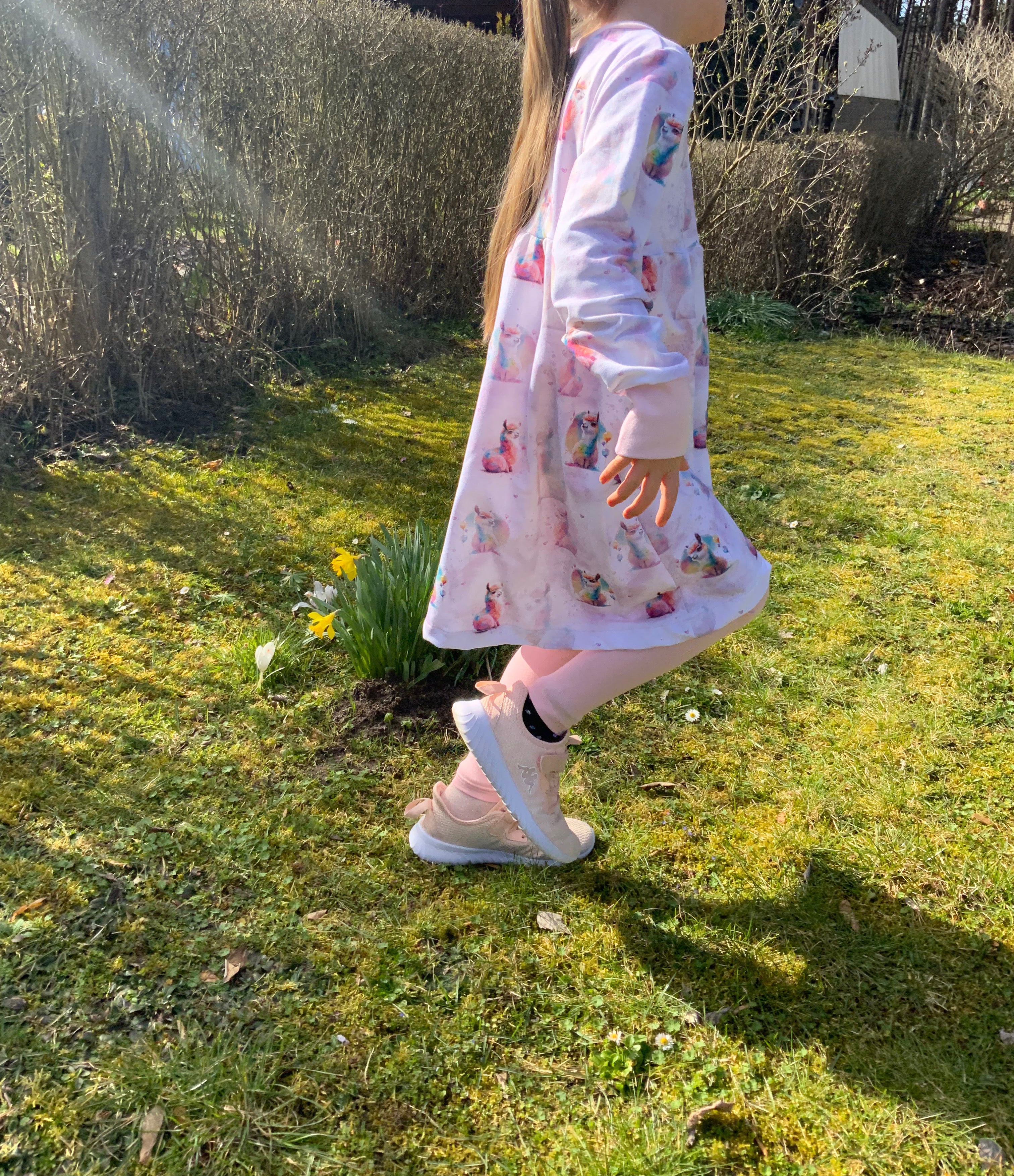 Lama Party Dauervorbestellung